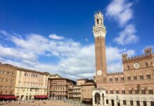 How to get from Florence to Siena How to get from Florence to Siena - Siena's main square "Piazza del Campo"