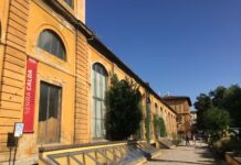 Uncover the Serenity and History of Florence’s Botanical Garden, Giardino dei Semplici Florence's Botanical Garden