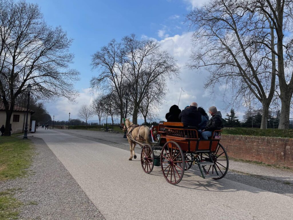A horse drawn carriage lucca
