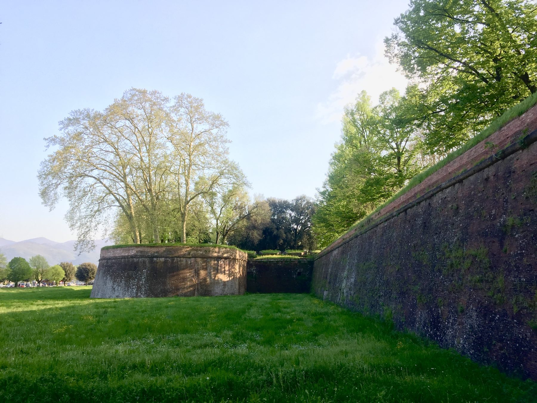 A section of the walls of Lucca, which in the early 19th century were converted into an urban park
