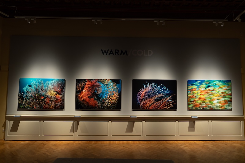 Oceani: David Doubilet (National Geographic) at Museo Bardini