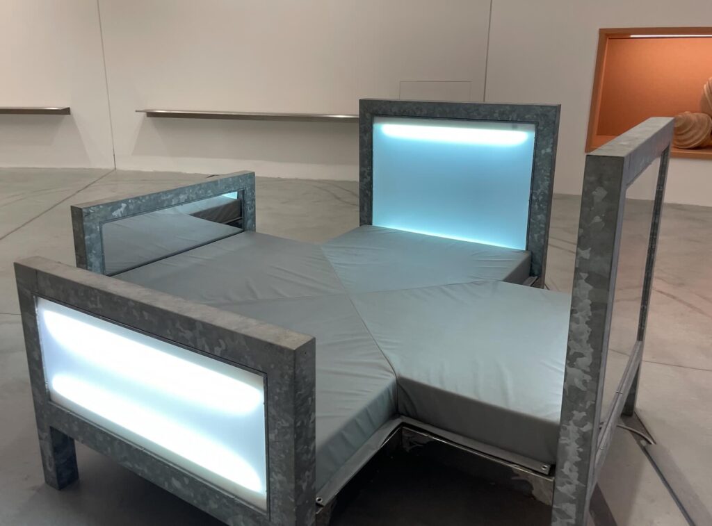 pecci permanent collection