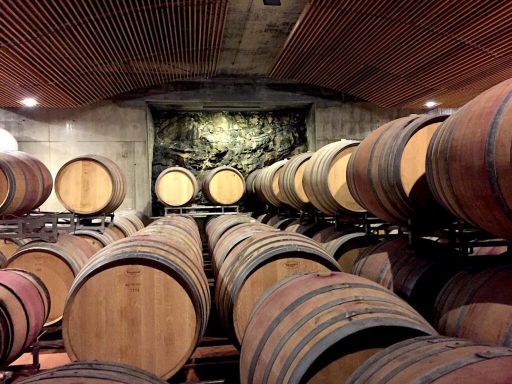 Interior of ColleMassari Winery showing rows of oak barrels in the cellar, with a rock wall in the background and wooden slatted ceiling.