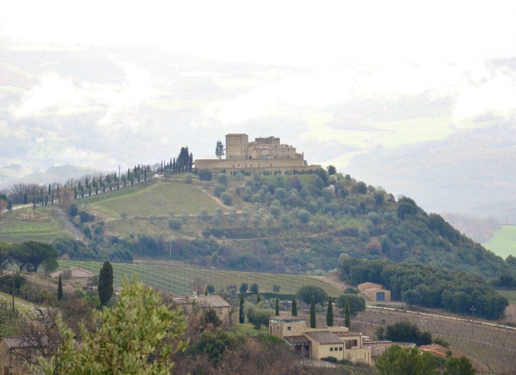 Distant view of Castello di ColleMassari atop a hill with cypress-lined roads, vineyards, and olive trees in Tuscany.