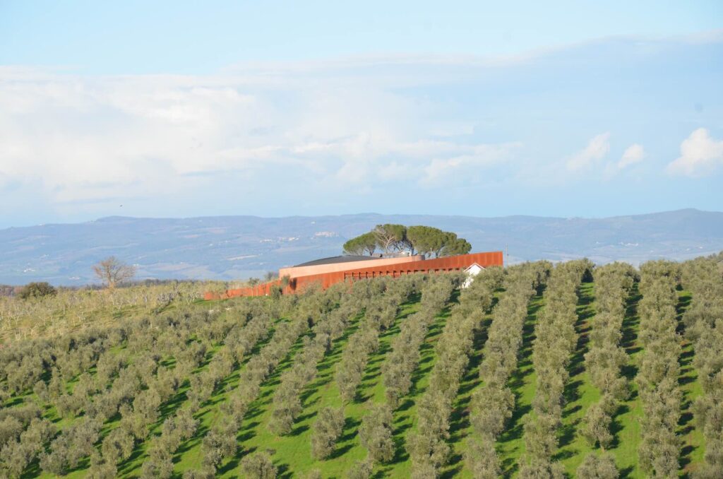 Forum Bertarelli surrounded by olive trees on a hillside in Tuscany, with mountains in the background and a clear sky.