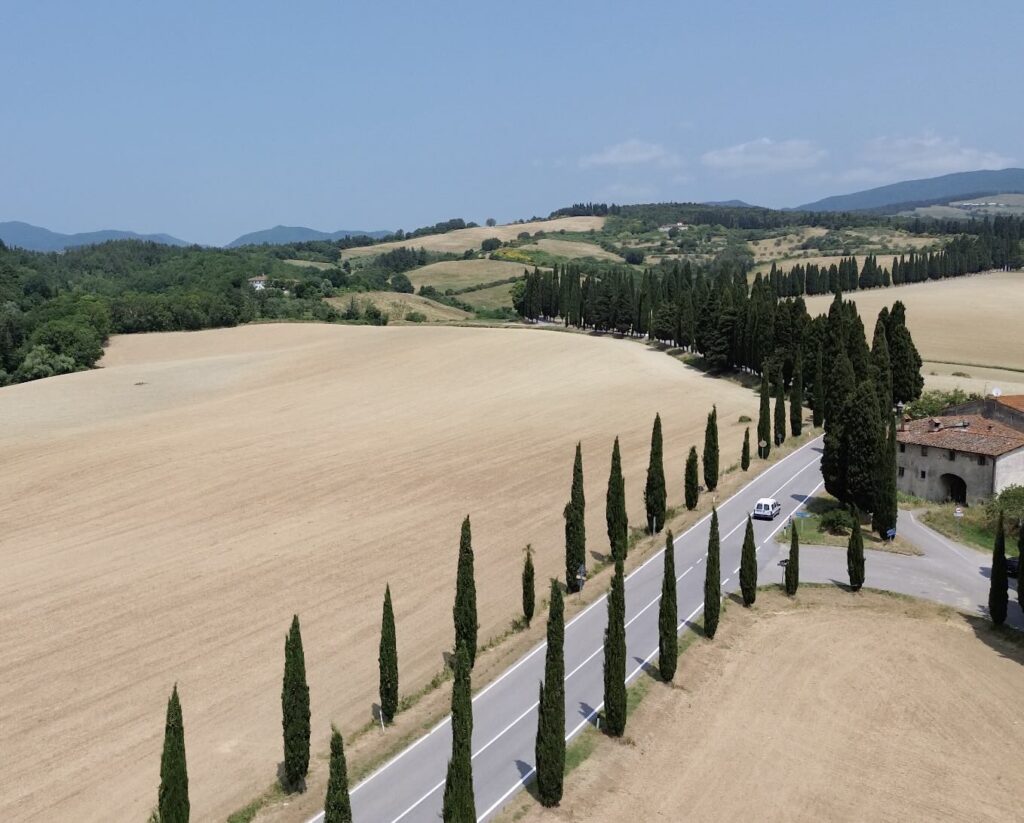 Aerial view of a winding rural road bordered by cypress trees cutting through golden fields in the Mugello area, Tuscany, Italy, with hills and forests in the background.