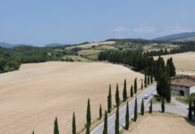 Renting a Car in Florence – The 2025 Complete Guide Renting a car in Florence