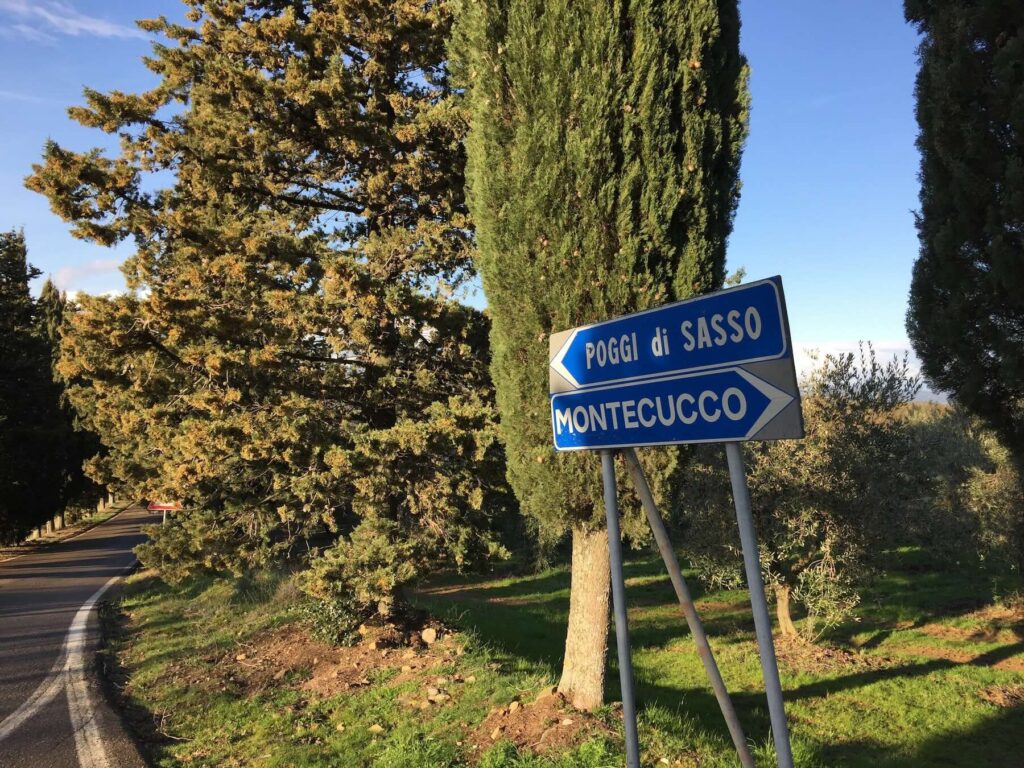 Directional road signs for Poggi di Sasso and Montecucco on a rural road surrounded by cypress and olive trees in Tuscany.