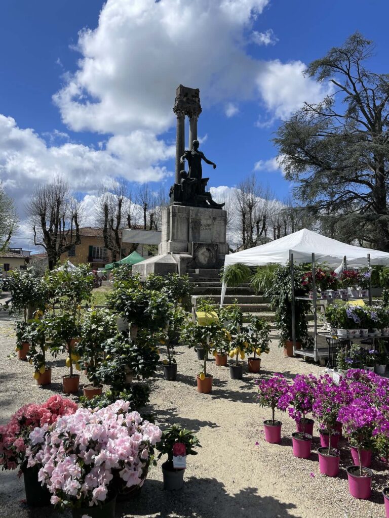 Flowers and potted plants on display during Fiorinfiera 2026 in Piazza Dante, Borgo San Lorenzo, with a monument in the background under a blue sky.