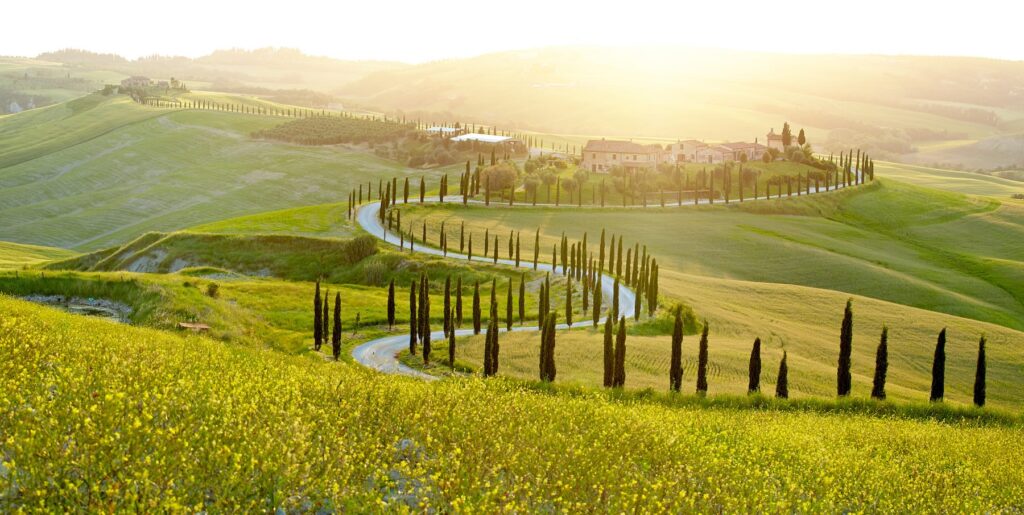 Winding cypress-lined road through the rolling green hills of Tuscany, Italy — the perfect slow travel landscape