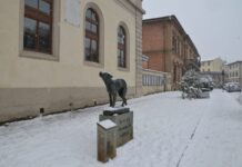 Fido’s Statue in Borgo San Lorenzo: The Story of Tuscany’s Most Loyal Dog Bronze statue of the dog Fido covered in snow in Piazza Dante, Borgo San Lorenzo